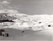Motiv: Winter (Positivo) di Foto Sandro Saltuari, Bozen (1950/01/01 - 1969/12/31)