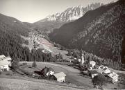 Wald/Bäume, Sommer (Positivo) di Foto Edizioni Ghedina (1950/01/01 - 1969/12/31)