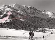 Skifahrer (Positivo) di Foto Edizioni Ghedina (1950/01/01 - 1969/12/31)
