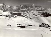 Schnee/Reif (Positivo) di Foto Edizioni Ghedina (1950/01/01 - 1969/12/31)