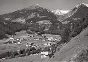 bosco (Positivo) (1950/01/01 - 1969/12/31)