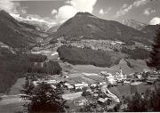 bosco (Positivo) (1950/01/01 - 1969/12/31)