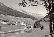bosco (Positivo) (1950/01/01 - 1969/12/31)