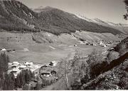 bosco (Positivo) (1950/01/01 - 1969/12/31)