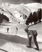 donna (Positivo) di Foto Hermann Frass, Bozen (1950/01/01 - 1969/12/31)