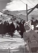 donna (Positivo) di Foto Hermann Frass, Bozen (1950/01/01 - 1969/12/31)