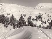 Skipisten (Positivo) di Foto Edizioni Ghedina (1950/01/01 - 1979/12/31)