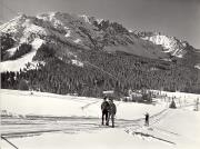 Skipisten (Positivo) di Foto Edizioni Ghedina (1950/01/01 - 1979/12/31)