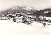 bosco (Positivo) di Foto J. F. Amonn, Bozen (1950/01/01 - 1969/12/31)