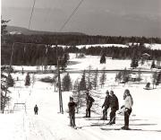 skilift (Positivo) di Foto Tappeiner, Meran (1950/01/01 - 1969/12/31)