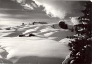 Motiv: Winter (Positivo) di Foto Hermann Frass, Bozen (1950/01/01 - 1979/12/31)