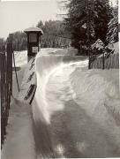 Motiv: Winter (Positivo) (1950/01/01 - 1969/12/31)