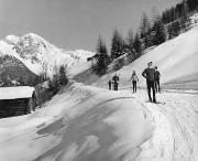 Nadelwald (Positivo) di Foto Tappeiner, Meran (1950/01/01 - 1969/12/31)