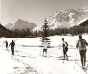 Fichtenwald (Positivo) di Foto Fuchs-Hauffen, Überlingen (1960/01/01 - 1989/12/31)