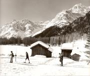 Fichtenwald (Positivo) di Foto Fuchs-Hauffen, Überlingen (1960/01/01 - 1989/12/31)