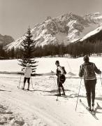 Fichtenwald (Positivo) di Foto Fuchs-Hauffen, Überlingen (1960/01/01 - 1989/12/31)