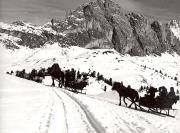 cavallo (Positivo) di Foto Löbl, Bad Tölz/Oberbayern (1960/01/01 - 1989/12/31)