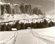 Motiv: Winter (Positivo) di Foto Elisabeth Fuchs-Hauffen, Überlingen/Bodensee (1960/01/01 - 1989/12/31)