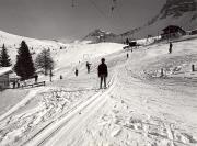 Schnee/Reif (Positivo) di Foto Edizioni Ghedina (1960/01/01 - 1989/12/31)