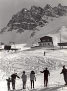 Schnee/Reif (Positivo) di Foto Edizioni Ghedina (1960/01/01 - 1989/12/31)