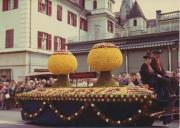 Gruppenbild (Positivo) di Foto Daldossi-Wolf, Meran (1972/04/23 - 1972/04/23)