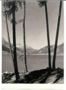 lago (Positivo) di Foto Sandro Saltuari, Bozen (1950/01/01 - 1969/12/31)