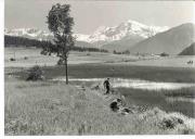 Seevegetation (am Ufer und auf dem Wasser) (Positivo) (1950/01/01 - 1969/12/31)
