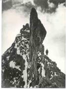 Alpinismus Ortlergruppe (Positivo) di Foto Wenzel Fischer, Garmisch (1950/01/01 - 1979/12/31)