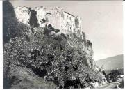 Obstbaum (Positivo) di Foto Sandro Saltuari, Bozen (1960/01/01 - 1979/12/31)
