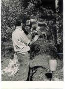 Falkner (Positivo) (1960/01/01 - 1979/12/31)