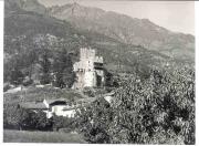 Weinberge in/bei Naturns (Positivo) di Foto Sandro Saltuari, Bozen (1960/01/01 - 1979/12/31)