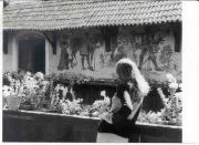 quadro (Positivo) di Foto Dr. Frass, Bozen (1960/01/01 - 1979/12/31)