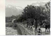 Promenade (Positivo) di Foto Sandro Saltuari, Bozen (1960/01/01 - 1979/12/31)