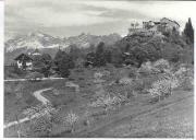 Schloß Fragsburg (Meran) (Positivo) di Foto Edizioni Ghedina (1960/01/01 - 1979/12/31)