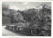 Obstbaum (Positivo) di Bährendt, Leo (1902/01/01 - 1939/12/31)