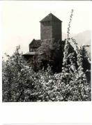 Obstbaum (Positivo) di Foto Sandro Saltuari, Bozen (1960/01/01 - 1979/12/31)
