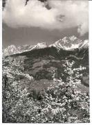 Motiv: Frühling (Positivo) di Foto Fuchs-Hauffen, Überlingen (1960/01/01 - 1979/12/31)