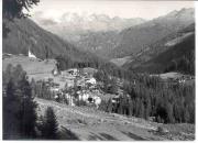 bosco (Positivo) di Foto Edizioni Ghedina (1950/01/01 - 1979/12/31)