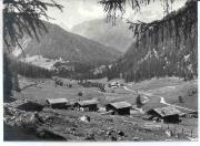 bosco (Positivo) di Foto Edizioni Ghedina (1950/01/01 - 1979/12/31)