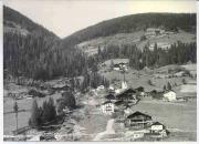 bosco (Positivo) di Foto Edizioni Ghedina (1950/01/01 - 1979/12/31)