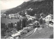 bosco (Positivo) di Foto Edizioni Ghedina (1950/01/01 - 1979/12/31)