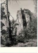 Laubwald (Positivo) (1950/01/01 - 1979/12/31)