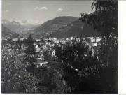 Panorama (Positivo) di Foto Tappeiner, Meran (1950/01/01 - 1979/12/31)