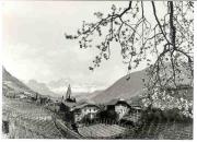 Motiv: Frühling (Positivo) di Foto Sandro Saltuari, Bozen (1950/01/01 - 1979/12/31)