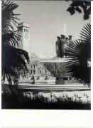 palma (Positivo) di Foto Sandro Saltuari, Bozen (1960/01/01 - 1979/12/31)