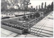 Badegäste in/bei Schwimmbad (Positivo) di Foto Dr. Frass, Bozen (1960/01/01 - 1979/12/31)