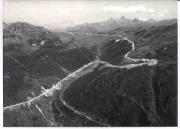 bosco (Positivo) di Foto Edizioni Ghedina (1950/01/01 - 1979/12/31)