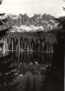 bosco (Positivo) (1950/01/01 - 1979/12/31)