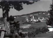 bosco (Positivo) di Foto Edizioni Ghedina (1950/01/01 - 1979/12/31)