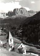 bosco (Positivo) di Foto Edizioni Ghedina (1950/01/01 - 1979/12/31)